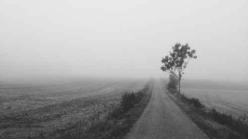 Road passing through field in foggy weather