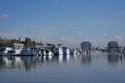 Sailboats moored in harbor