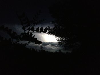 Scenic view of landscape against sky at night