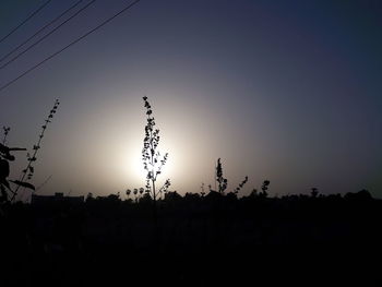 Silhouette plants on field against sky during sunset