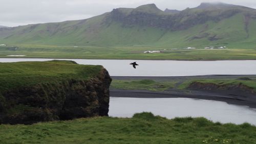 Scenic view of river by field against mountains