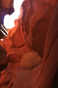 Rock formation in canyon