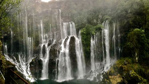 Scenic view of waterfall in forest