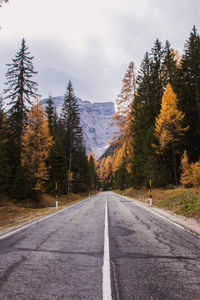 Road amidst trees against sky