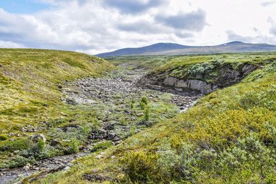 Scenic view of landscape against sky