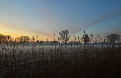 Scenic view of lake against sky during sunset