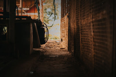 Narrow alley amidst buildings