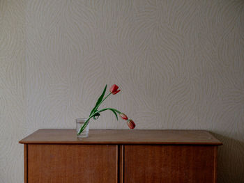 Tulips in glass on sideboard against wall