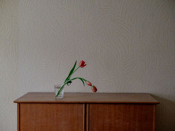 Red rose on table against wall