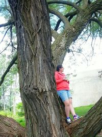 Woman standing on tree trunk