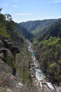 Scenic view of river amidst trees against sky