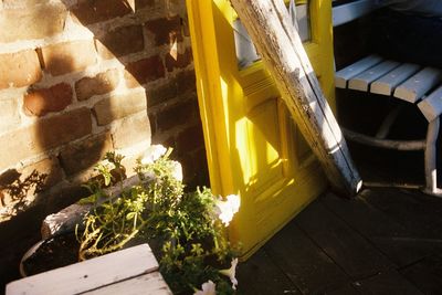 Close-up of yellow wall