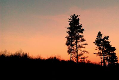 Silhouette trees against sky during sunset