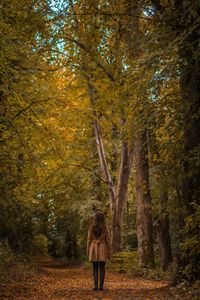 Rear view of woman standing on footpath in forest