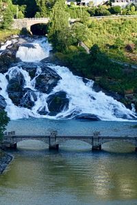 Scenic view of river flowing in forest