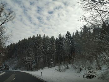 Snow covered road amidst trees against sky