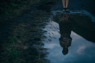 Reflection of trees in water