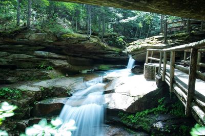 View of waterfall in forest