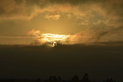 Silhouette of birds against sky during sunset