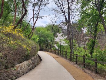 Footpath amidst trees