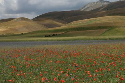 Scenic view of grassy field against cloudy sky