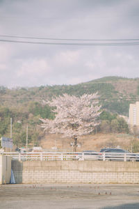 Scenic view of city against sky