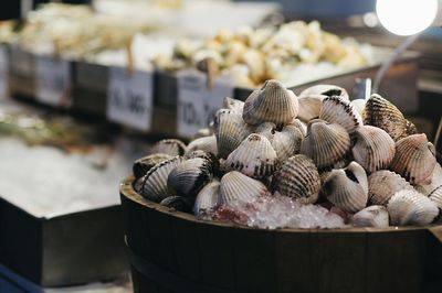 Close-up of seashells in bowl