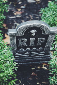 Close-up of cross in cemetery