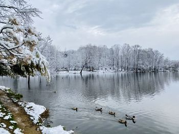 Snowing in artificial lake of tirana