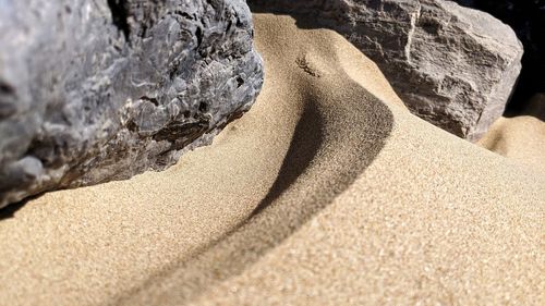 Close-up of rock on beach