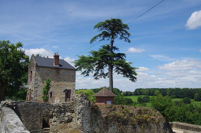 Trees against sky