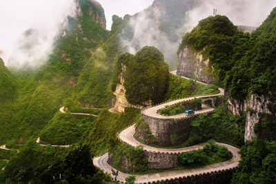 Panoramic view of trees on mountain