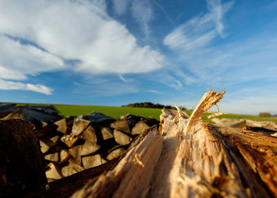 Close-up of log against sky