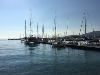 Sailboats moored at harbor against sky