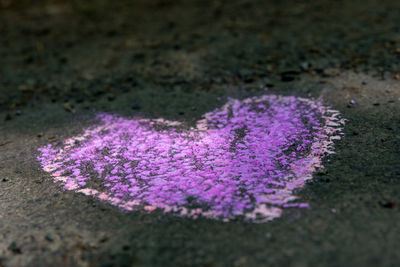 High angle view of heart shape on street