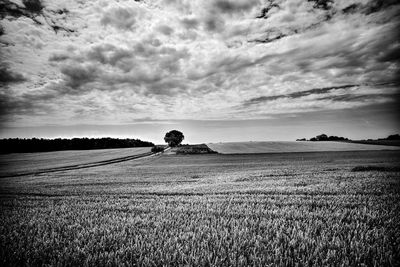 Scenic view of field against sky