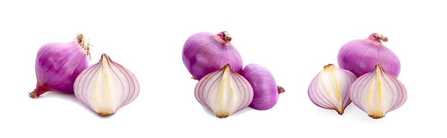 Close-up of purple flowers against white background