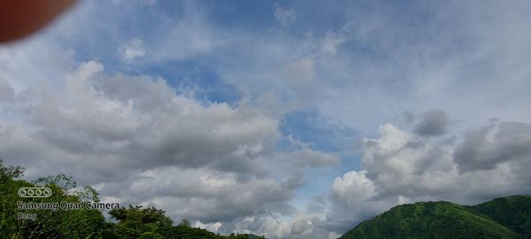 Low angle view of trees against sky