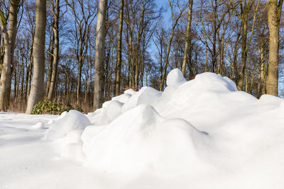 Snow covered land and trees against sky