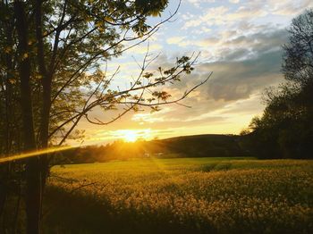 Scenic view of field against sky during sunset