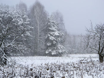 Snow covered trees in forest against sky