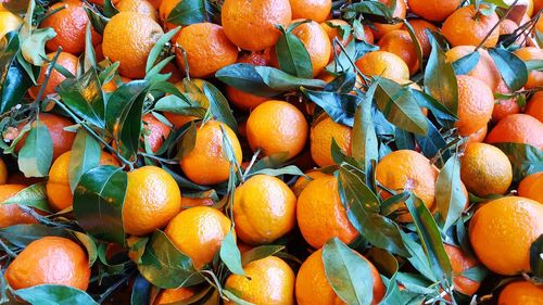 Full frame shot of oranges in market