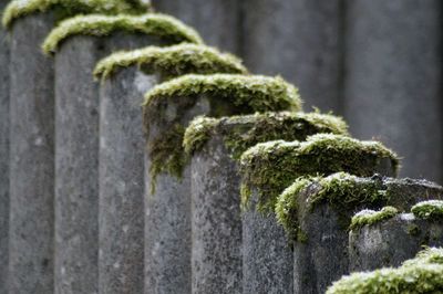 Close-up of stone fence