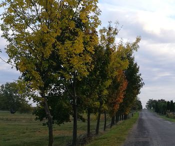 Road amidst trees against sky during autumn