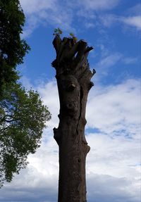 Low angle view of tree against sky