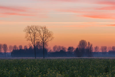 Scenic view of field against sky during sunset