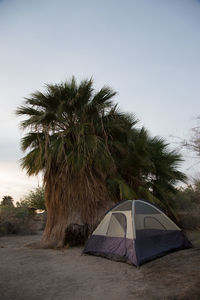 Tent in park against sky