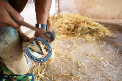 Cropped hands repairing horseshoe at farm
