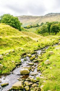 Scenic view of green landscape against sky