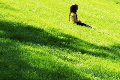 View of grassy field